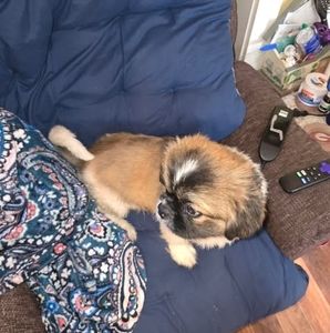 Meet your Posher, Julie